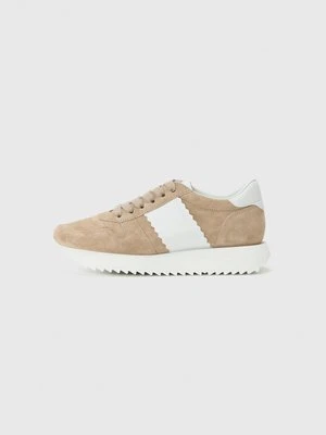 Sneakersy niskie Kennel + Schmenger