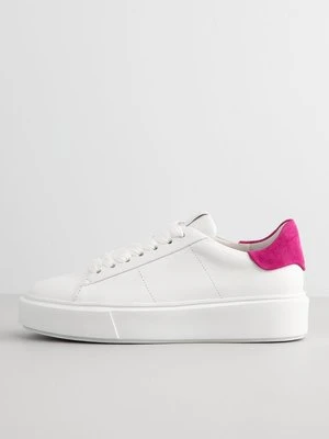 Sneakersy niskie Kennel & Schmenger