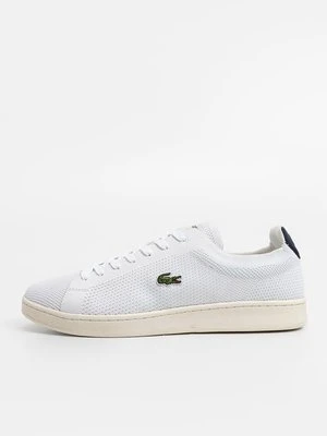 Sneakersy niskie Lacoste Sport