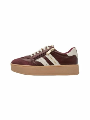 Sneakersy niskie Marco Tozzi bordowy