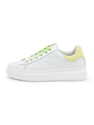 Sneakersy niskie Nero Giardini biały