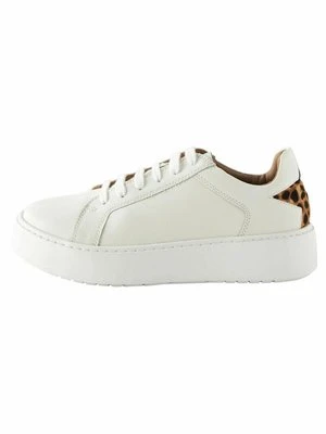 Sneakersy niskie Next