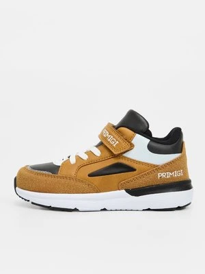 Sneakersy niskie Primigi