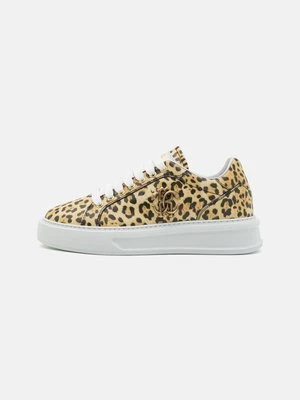 Sneakersy niskie Roberto Cavalli