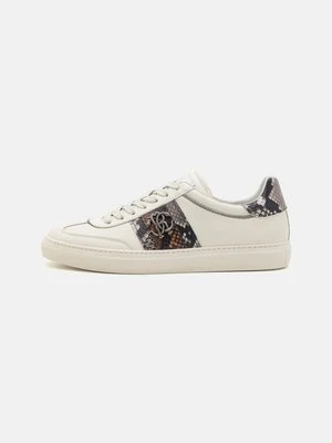 Sneakersy niskie Roberto Cavalli