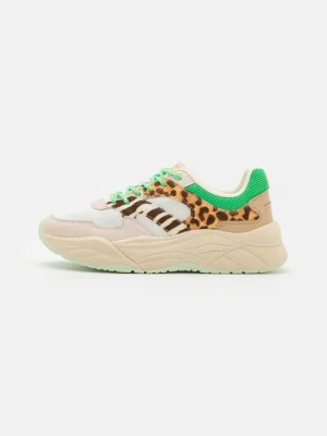 Sneakersy niskie Scotch & Soda zielony