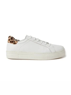 Sneakersy niskie Stefanel