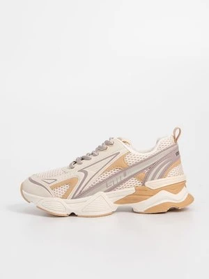 Sneakersy niskie Steve Madden