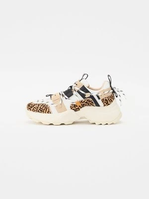 Sneakersy niskie Steve Madden