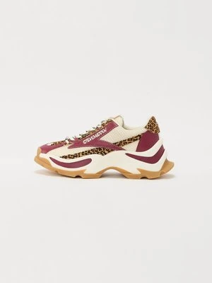 Sneakersy niskie Steve Madden