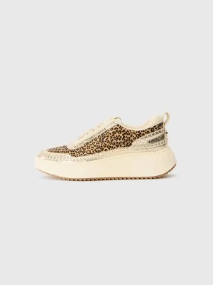Sneakersy niskie Steve Madden