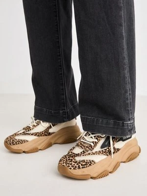Sneakersy niskie Steve Madden