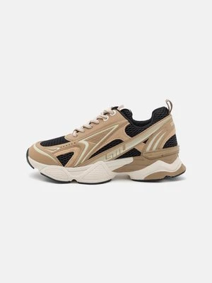 Sneakersy niskie Steve Madden