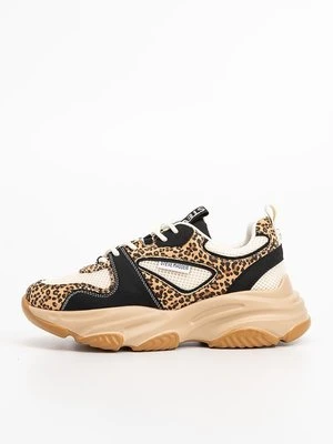 Sneakersy niskie Steve Madden