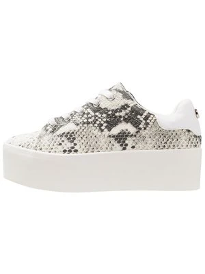 Sneakersy niskie Steve Madden