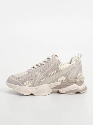 Sneakersy niskie Steve Madden