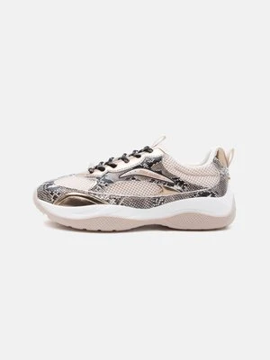Sneakersy niskie Steve Madden brąz