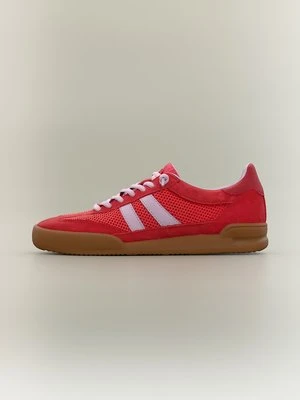 Sneakersy niskie Steve Madden czerwony