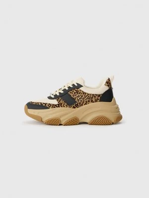 Sneakersy niskie Steve Madden