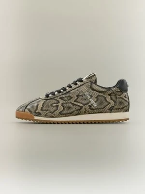 Sneakersy niskie Steve Madden beżowy