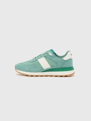 Sneakersy niskie Steve Madden zielony