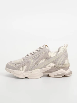 Sneakersy niskie Steve Madden szary