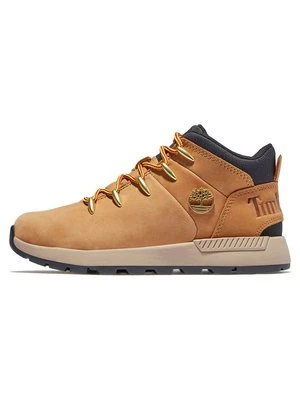 Sneakersy niskie Timberland