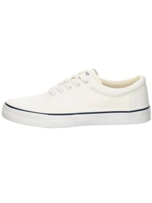 Sneakersy niskie TOMS