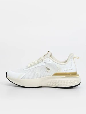 Sneakersy niskie U.S. Polo Assn.