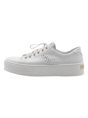 Sneakersy niskie usha biały