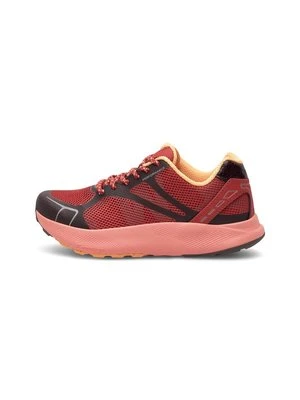 Sneakersy niskie Woden