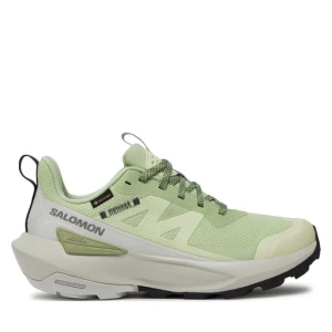 Sneakersy Salomon Elixir Activ Gore-Tex L47456300 Zielony