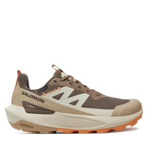 Sneakersy Salomon Elixir Activ Gore-Tex L47456400 Brązowy