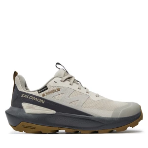 Sneakersy Salomon Elixir Activ Gore-Tex L47691600 Szary