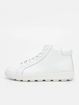 Sneakersy wysokie Geox