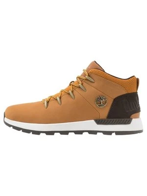 Sneakersy wysokie Timberland