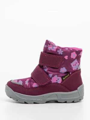 Śniegowce Richter fioletowy