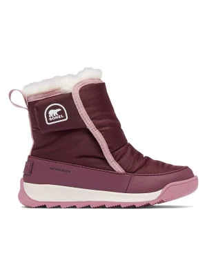 Sorel Botki "Whitney" w kolorze fioletowym rozmiar: 24