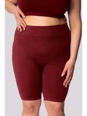 Spaio Szorty sportowe "Ribbed" w kolorze bordowym rozmiar: 3XL