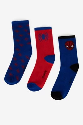 Spiderman ACCCS-AW24-224SPRMV-A (3-pack) Niebieski