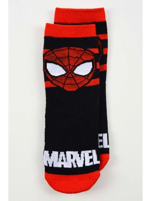 Spiderman Skarpety antypoślizgowe "Spider-Man" w kolorze czerwono-czarnym rozmiar: 31-34