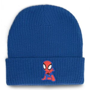 SPIDEY ACCCS_AW23-53SPIDMV Granatowy
