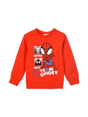 Spidey and his amazing friends Bluza "Spidey i super-kumple" w kolorze czerwonym rozmiar: 104