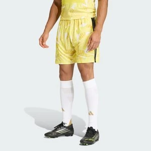 Spodenki bramkarskie TIRO26 Competition Adidas