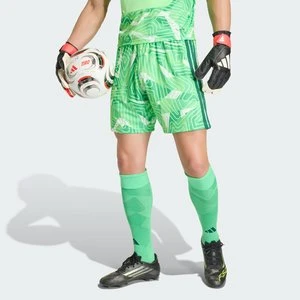 Spodenki bramkarskie TIRO26 Competition Adidas Lime Burst