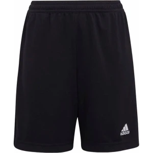 Spodenki dresowe juniorskie Entrada 22 Adidas