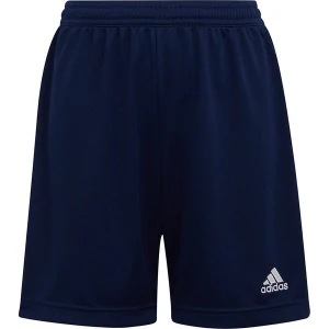Spodenki dresowe juniorskie Entrada 22 Adidas