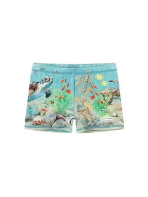 Spodenki kąpielowe Molo