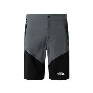 Spodenki męskie The North Face Felik 0A825XRPI1 - szare
