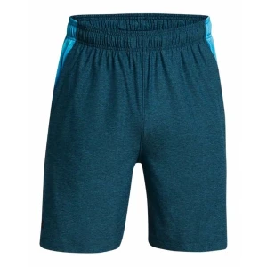 Spodenki męskie Vent Under Armour